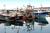 Poole fishing_tiny